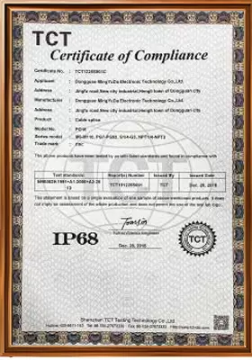 Certification Certificate