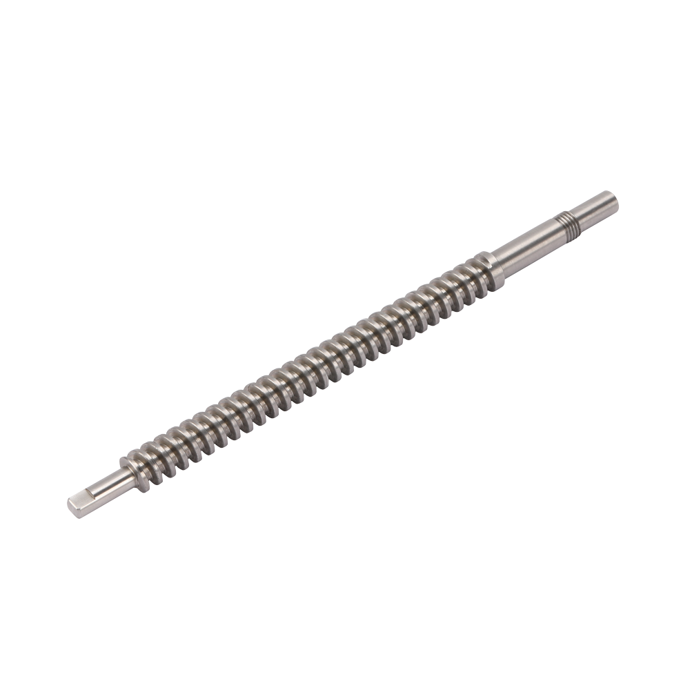 Multi head transmission worm gear