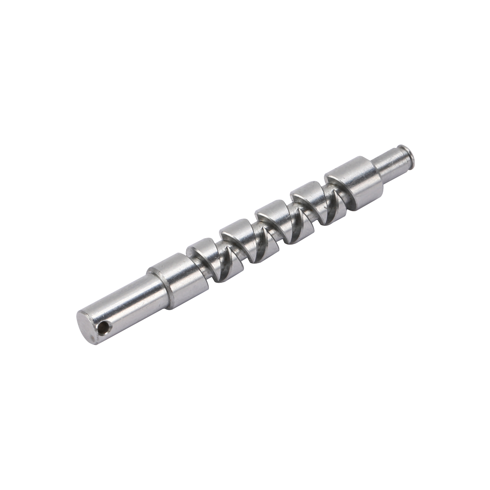 Multi head transmission worm gear